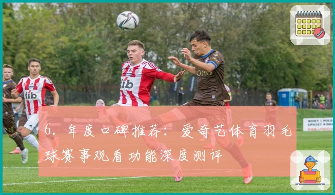 6. 年度口碑推荐：爱奇艺体育羽毛球赛事观看功能深度测评