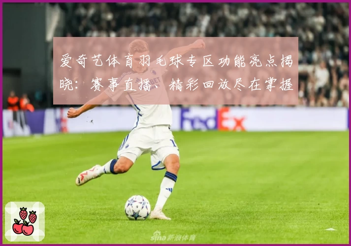 爱奇艺体育羽毛球专区功能亮点揭晓：赛事直播、精彩回放尽在掌握